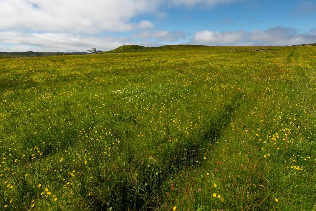 21 Callanish Luxury Pod Εξωτερικό φωτογραφία