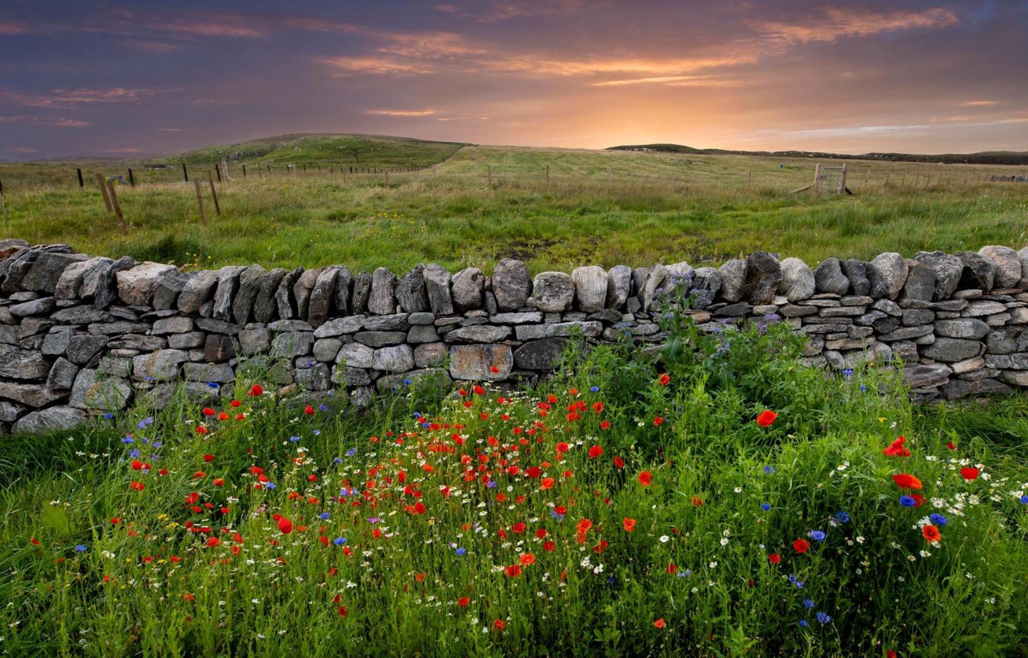 21 Callanish Luxury Pod Εξωτερικό φωτογραφία
